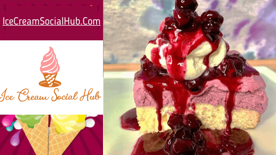 BlueBerry Ice Cream ShortCake